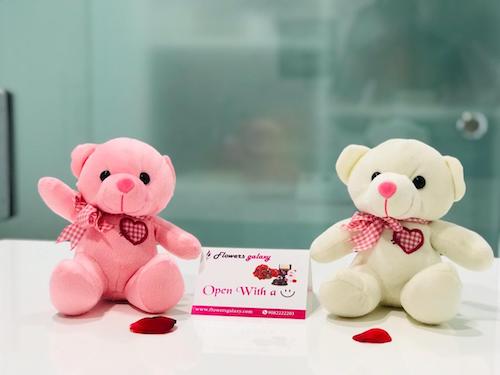 Teddy Bro's